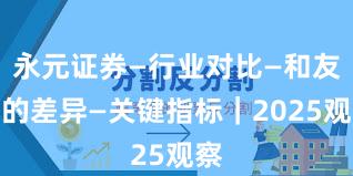 永元证券—行业对比—和友商的差异—关键指标｜2025观察