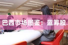 巴西市场图鉴：蓝筹股