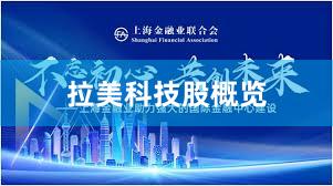 拉美科技股概览